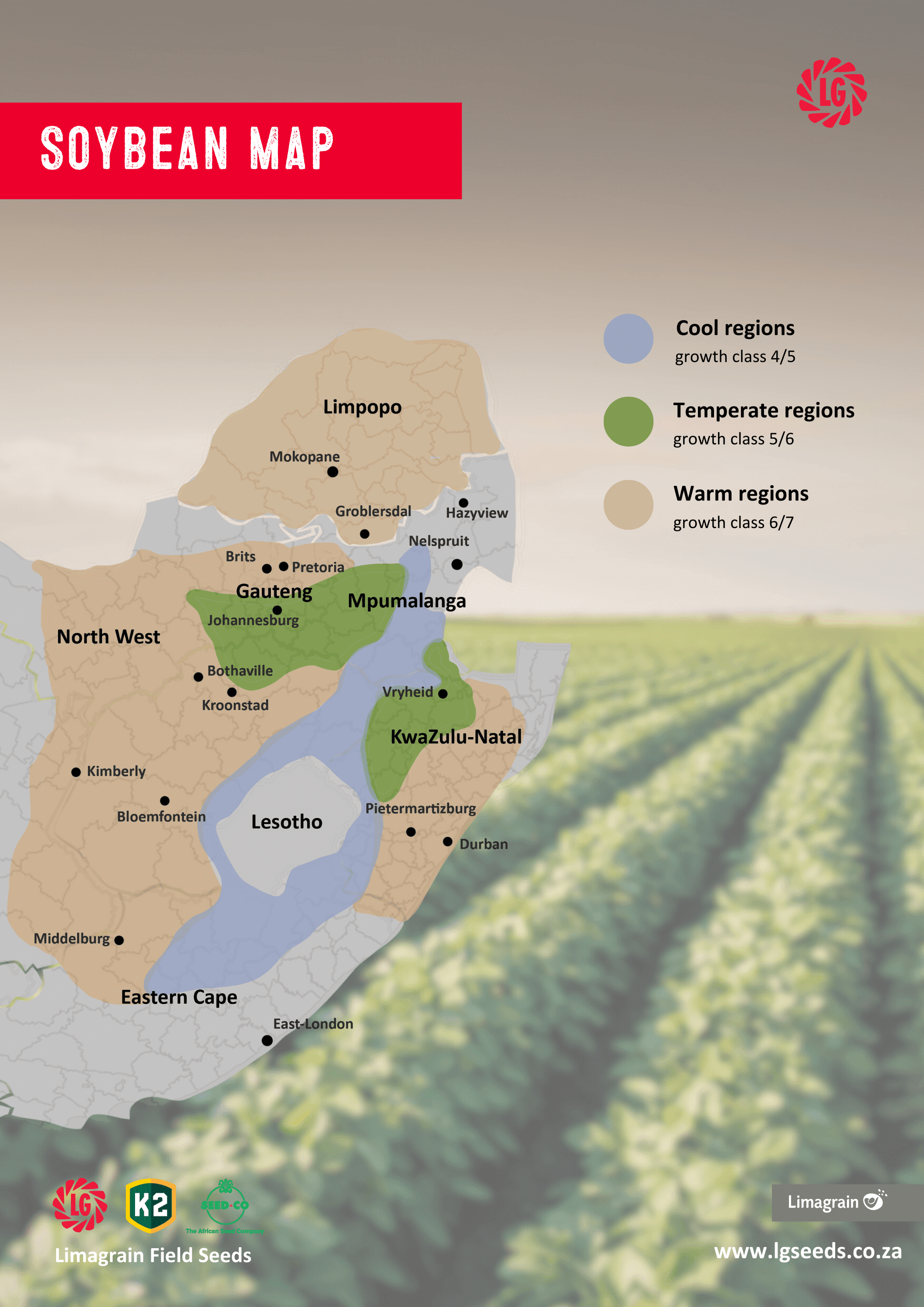 Soybean-Characteristics.jpg